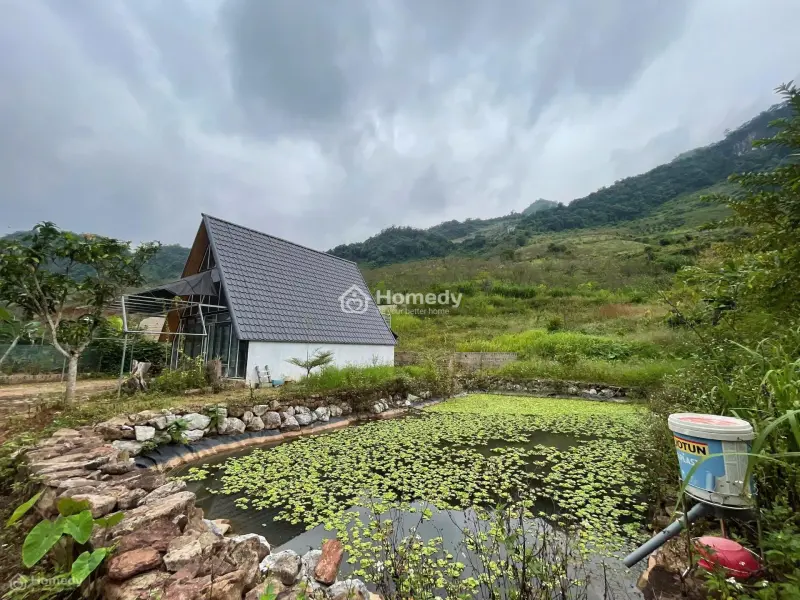 Nhà Có Ngay, Sẵn Ao Mà Lại Gần Các Điể Du Lịch Như: Đồi Cỏ Hồng, Cầu Kính, Thác Dải Yếm,..