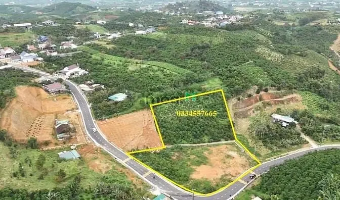 6 Sào Thổ Cư Bảo Lộc, Đường Nhựa Đẹp, Giá Rẻ