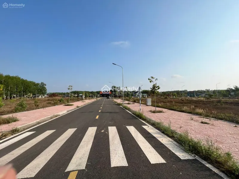 Bán Gấp Lô Đất Ngộp 100M2 Ở Đồng Phú – Bình Phước