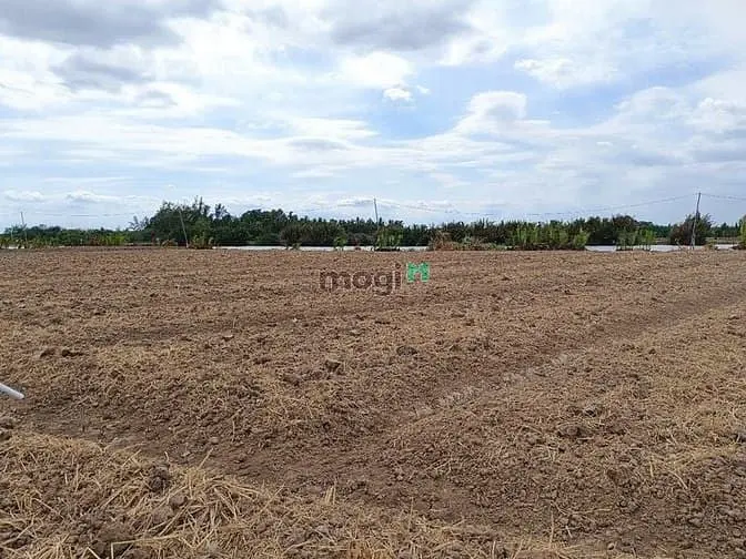 Bán Gấp Đất Nhà Vườn Phước Khánh Nhơn Trạch,Giá Rẻ 550Tr/1000M,Mt Sông