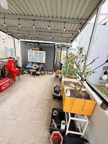 6066523 ảnh đại diện 1