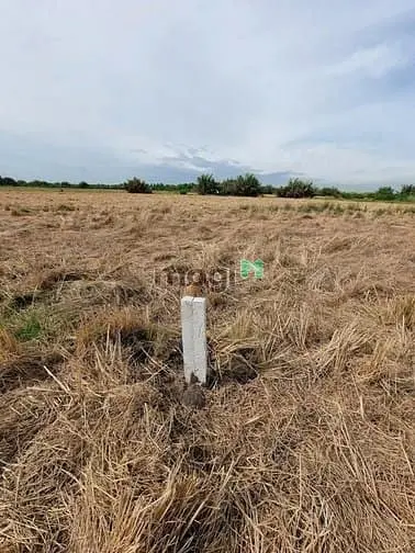 Bán Gấp Đất Nhà Vườn Phước Khánh Nhơn Trạch,Giá Rẻ 550Tr/1000M,Mt Sông