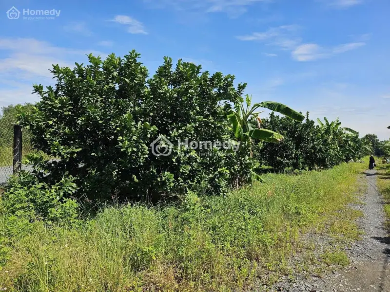 6066524 ảnh đại diện 1