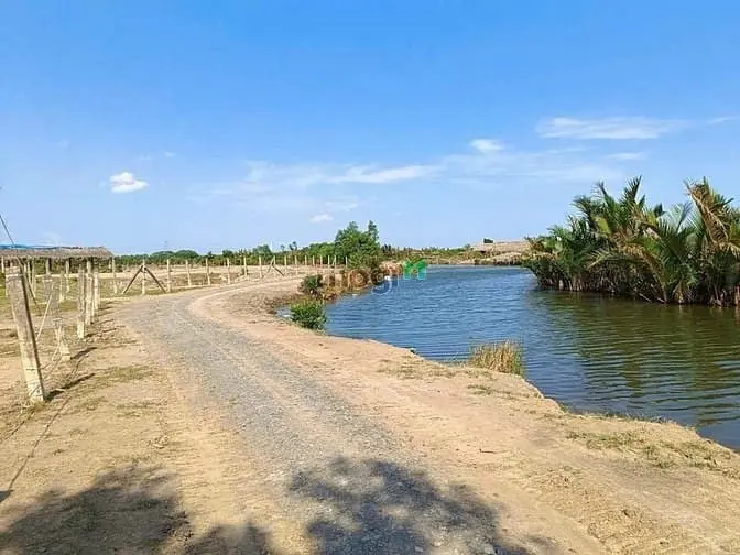 Bán Gấp Đất Nhà Vườn Phước Khánh Nhơn Trạch,Giá Rẻ 550Tr/1000M,Mt Sông