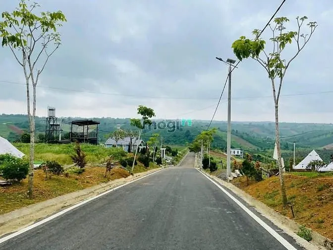 Duy Nhất Còn 1 Lô Tại Nali Chill - Homestay And Bbq Giá Bán Chỉ 850Tr