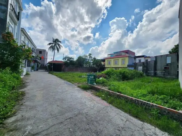 6066630 ảnh đại diện 1