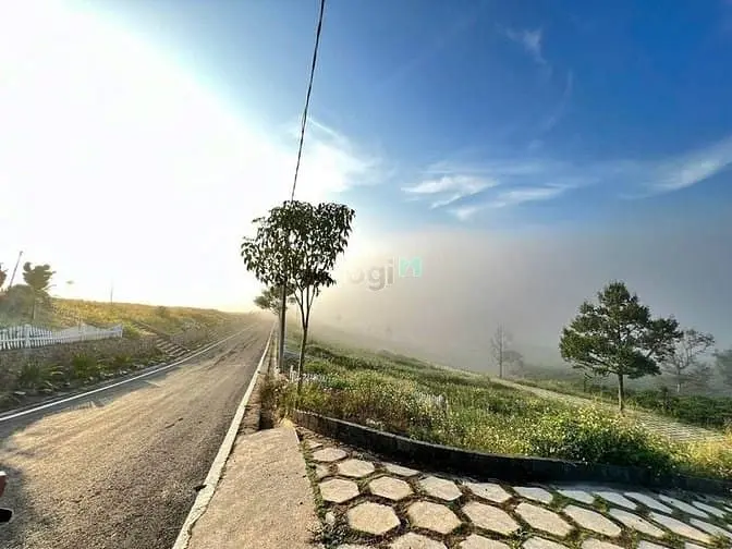 Duy Nhất Còn 1 Lô Tại Nali Chill - Homestay And Bbq Giá Bán Chỉ 850Tr