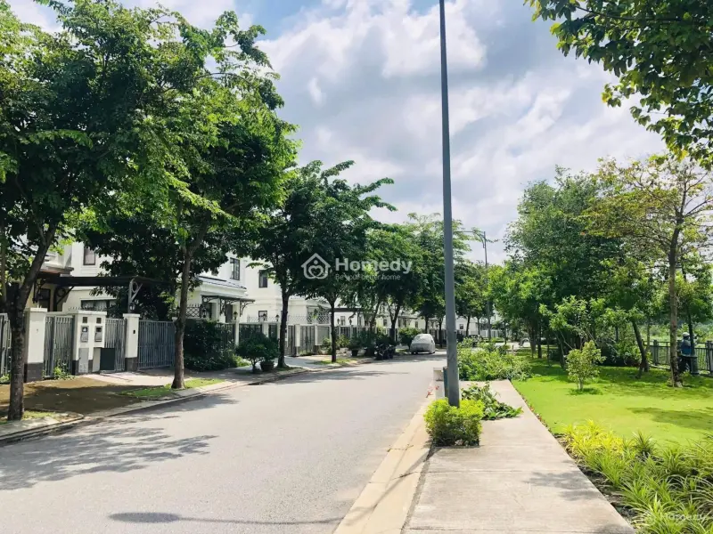 6066401 ảnh đại diện 1