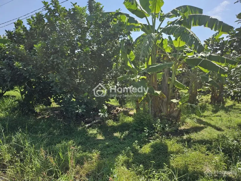 Bán Đất Vườn Cây 1000M2 Ngay Cổng Kcn Ở Đồng Phú, Đồng Xoài