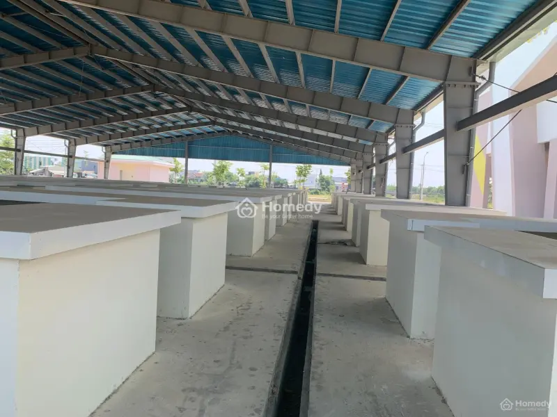 Chỉ 580 Triệu (30%) Sở Hữu Ngay Lô Đất Tại Khu Phố Chợ Chiên Đàn, Ck Đến 5.5%, Sổ Hồng Từng Nền