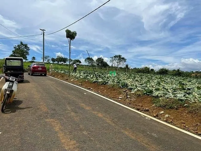 6066568 ảnh đại diện 1