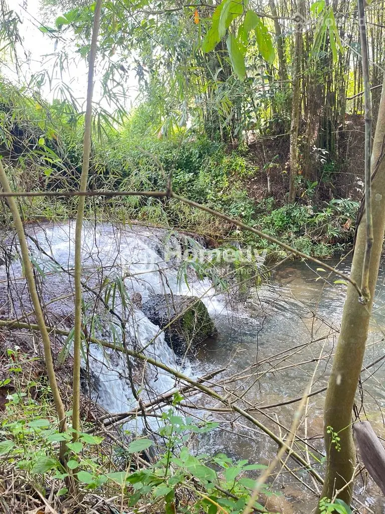 6066633 ảnh đại diện 1