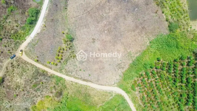 6066927 ảnh đại diện 1