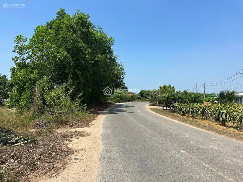 6066658 ảnh đại diện 1