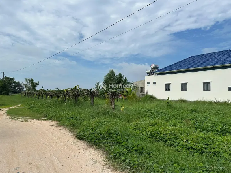 6067017 ảnh đại diện 1