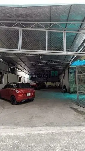 6066878 ảnh đại diện 1