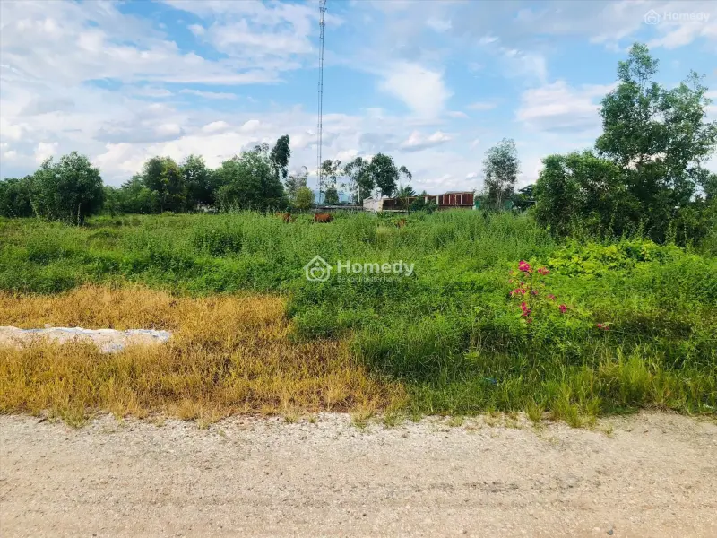 Bán 5M X 21M Đất Ở Đô Thị Đường D - Sght - Tân Bình - Lagi Giá Mềm 1 Tỷ