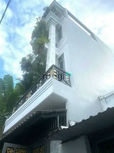 6066737 ảnh đại diện 1