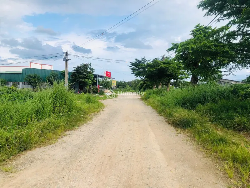 6066657 ảnh đại diện 1