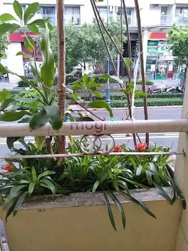 Hh1% Bán Mtkd Nguyễn Hữu Hào P9 Q4 44M2 Không Quy Hoạch