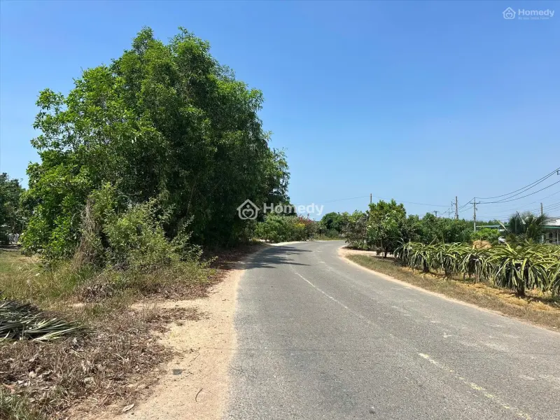 Bán 20M Đất Siêu Ngộp Mặt Tiền Nguyễn Thông - Tân Bình - Lagi 180Tr/M Ngang