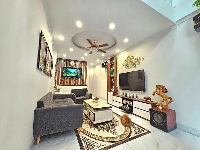 6066672 ảnh đại diện 1