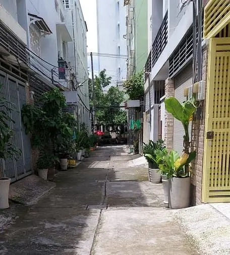 6066954 ảnh đại diện 1