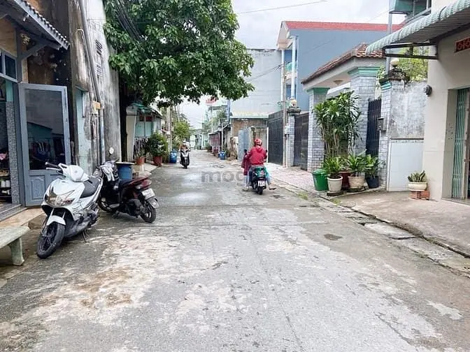 6067198 ảnh đại diện 1