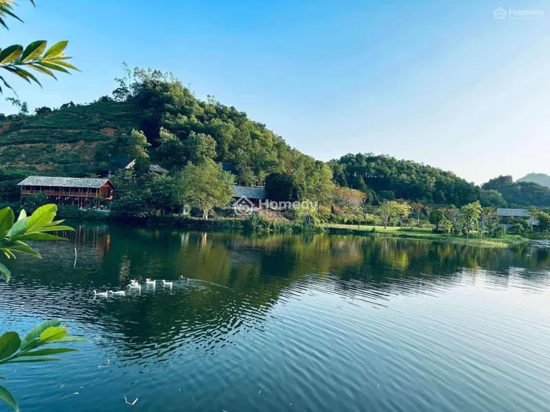 Chuyển Nhượng Resort Mini Mặt Hồ Tại Ba Vì - Hà Nội