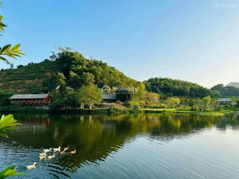 6067038 ảnh đại diện 1