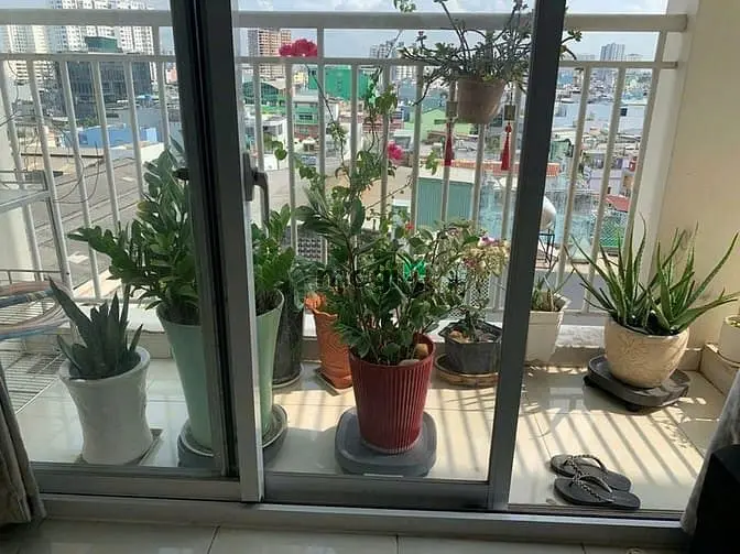 6067167 ảnh đại diện 1