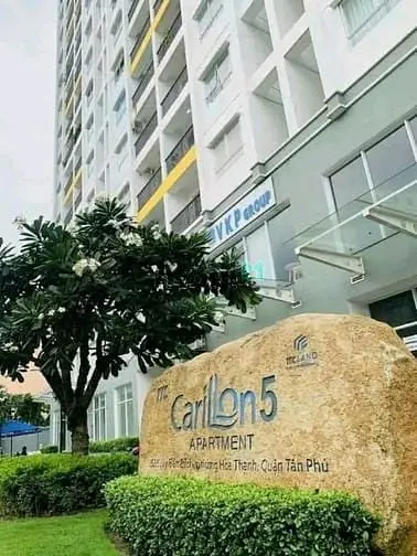 6067211 ảnh đại diện 1