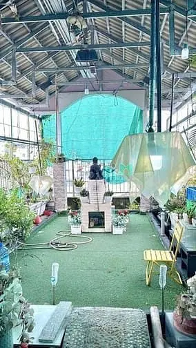 Bán Nhà Quận 6 Nở Hậu 6,5M Giá 9 Tỷ