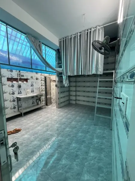 6067140 ảnh đại diện 1