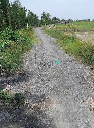 Bán Gấp Đất Mt Sông Đồng Nai Phú Hữu Nhơn Trạch Giá Rẻ 3Tr/M, Oto, Shr