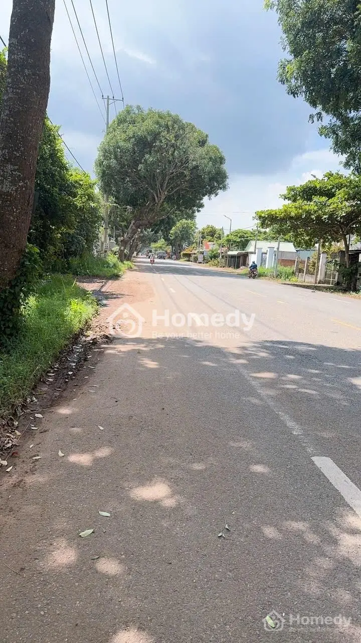 2155M Có 100M Thổ Cư Ngay Mặt Tiền Quốc Lộ 56, Hòa Long, Brvt Giá 25,5 Tỷ Tl