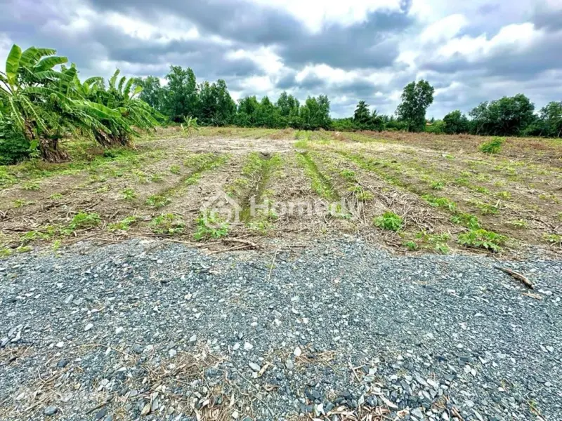 Giá Tốt Nhất Khu Vực Bến Lức – Đất Đã San Lấp, Sổ Sẵn!