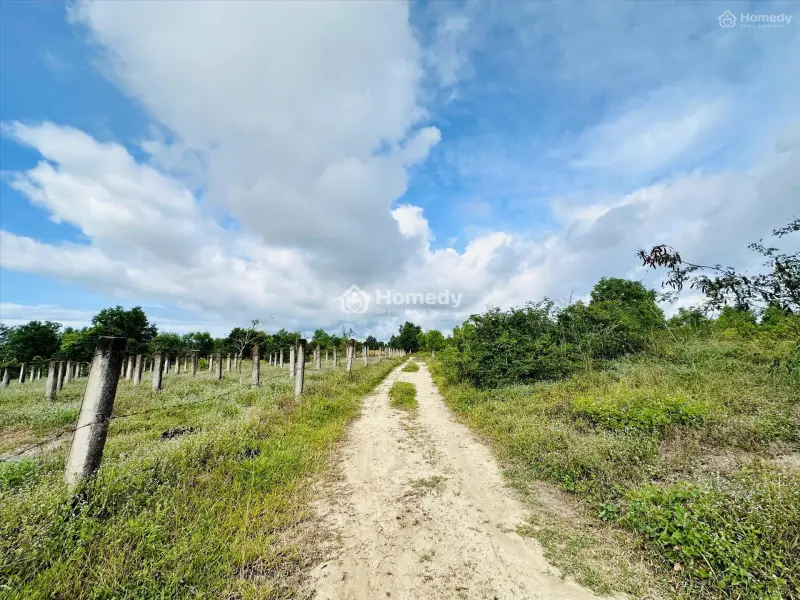 Bán 1.3 Sào Đất Gần Biển Tân Tiến - Lagi Giá Rẻ Nhất 500 Triệu Sổ Riêng