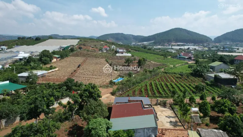 Siêu Phẩm View Đồi Thông Xã Mê Linh - Lâm Đồng – Chỉ 700 Triệu Sở Hữu 535 M2 ( 100M Thổ Cư )