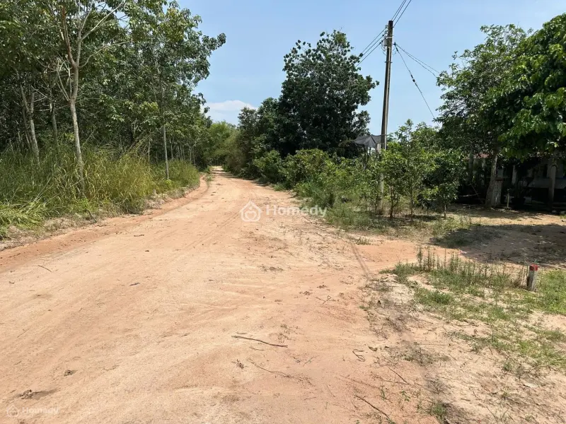 Chính Chủ Cần Bán Hoặc Cho Thuê Đất Dầu Tiếng, Bình Dương, Thích Hợp Làm Trang Trại