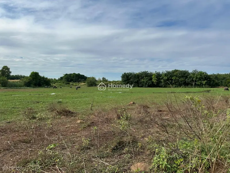 Chính Chủ Cần Bán Gấp Đất Ở Lộc Ninh, Bình Phước, Thích Hợp Làm Trang Trại, Khu Nghỉ Dưỡng