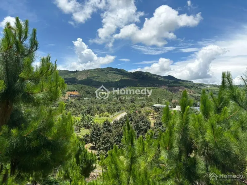 6000M² Đất Qh Thổ Cư Mặt Tiền B Lao Xê Rê, View 360, Khu Dân Cư Hiện Hữu, Phường 3, Tp Bảo Lộc.