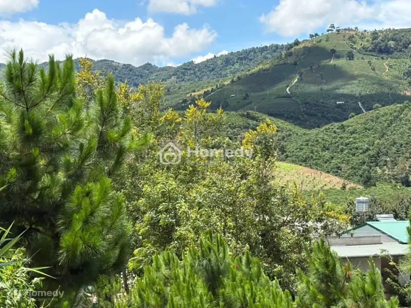 6000M² Đất Qh Thổ Cư Mặt Tiền B Lao Xê Rê, View 360, Khu Dân Cư Hiện Hữu, Phường 3, Tp Bảo Lộc.