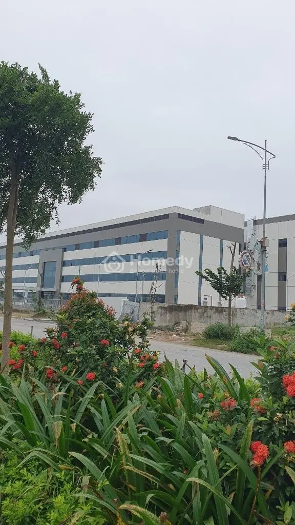 Đất Nền Dự Án Cạnh Khu Công Nghiệp, Khách Sạn, Cầu Cảng, Sân Bay, Khu Phố Đang Kinh Doanh Mạnh Mẽ