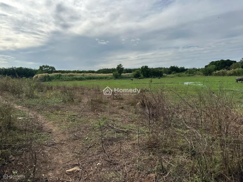 Chính Chủ Cần Bán Gấp Đất Ở Lộc Ninh, Bình Phước, Thích Hợp Làm Trang Trại, Khu Nghỉ Dưỡng