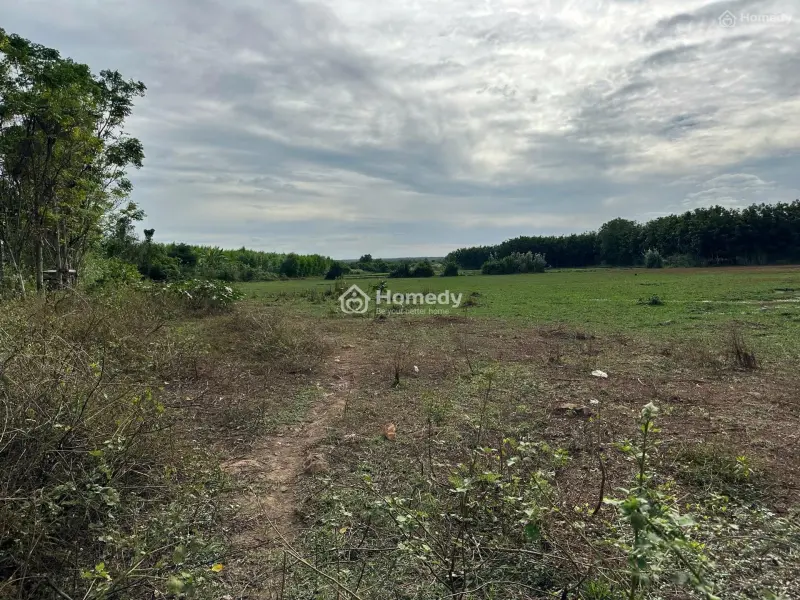 Chính Chủ Cần Bán Gấp Đất Ở Lộc Ninh, Bình Phước, Thích Hợp Làm Trang Trại, Khu Nghỉ Dưỡng