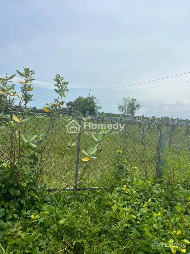 Đất Sào Gần Biển, Phủ Hồng , Đường Xe Hơi, Pháp Lý Sổ Hồng , Sang Tên Nhanh Chống