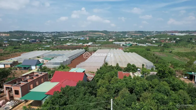 Siêu Phẩm View Đồi Thông Xã Mê Linh - Lâm Đồng – Chỉ 700 Triệu Sở Hữu 535 M2 ( 100M Thổ Cư )