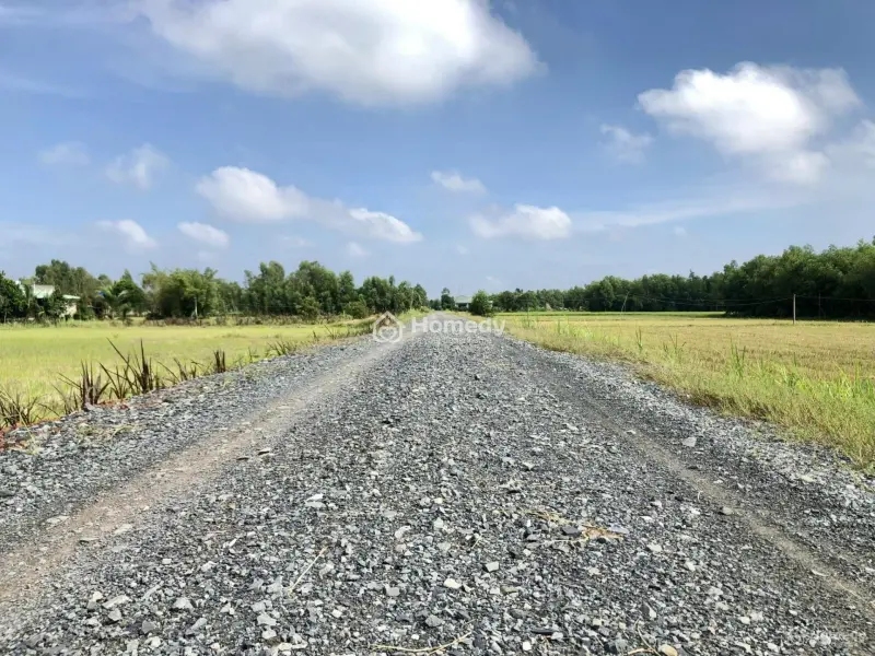 Ngang 9M- 408M2 Thổ Cư- Ngay Thị Trấn- Đức Huệ