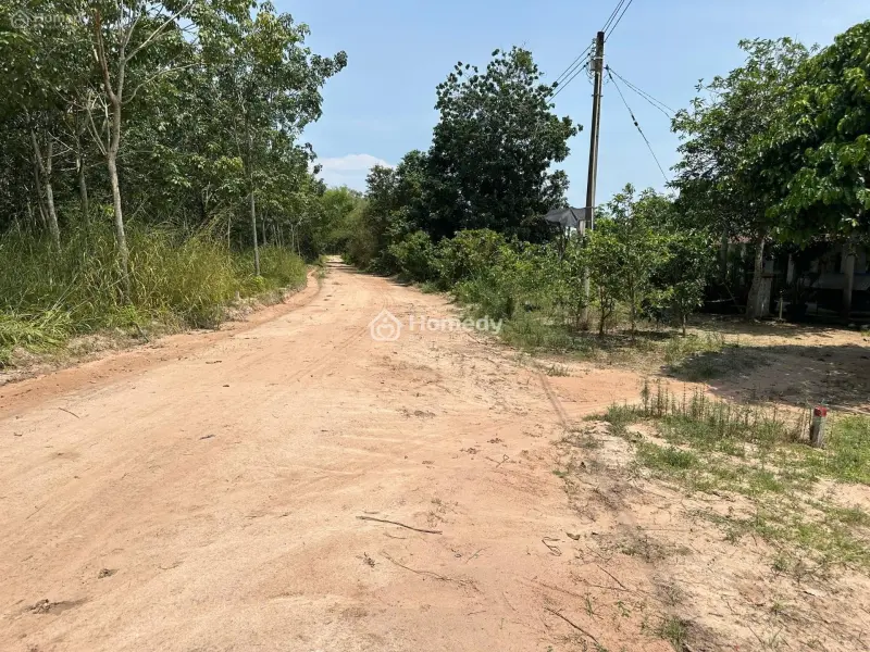 Chính Chủ Cần Bán Cho Thuê Đất Dầu Tiếng, Bình Dương, Thích Hợp Làm Trang Trại